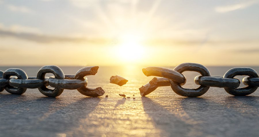 Descripción de la imagen